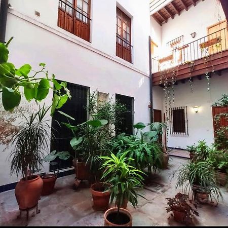 Coco Home Sevilla Urban Apartment Zewnętrze zdjęcie