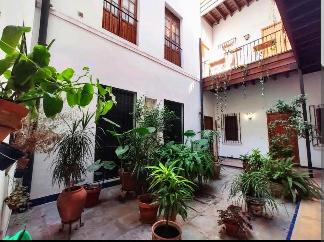 Coco Home Sevilla Urban Apartment Zewnętrze zdjęcie